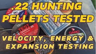 Best 22 Hunting Pellets of 2024  The Ultimate Hunting Pellet Test Velocity Energy amp Expansion [upl. by Ayitahs]