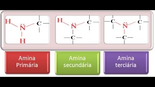 Aminas Concepto y Ejemplos [upl. by Zita]