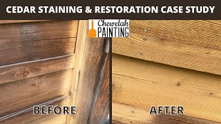 Cedar Staining amp Restoration Case Study Chewelah Paintings 10000 sq ft Project in Priest Lake ID [upl. by Victoria319]