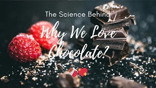 The Science Behind Why We Love Chocolate 🍫💖 [upl. by Pravit664]