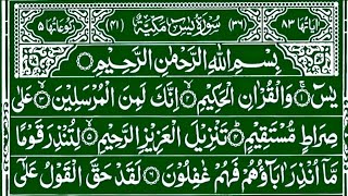 Surah Yaseen Fast Recitation Yasin Surah Yaseen Mishary Rashid Alafasy surah dua [upl. by Lana]