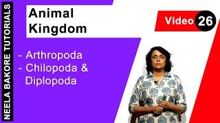 Animal Kingdom  NEET  Arthropoda  Chilopoda amp Diplopoda  Neela Bakore Tutorials [upl. by Rivy]