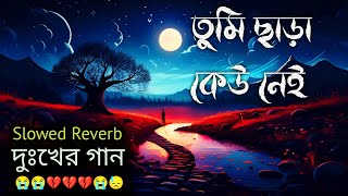 তুমি ছাড়া কেউ নেই Slowed  Reverb  Lofi Song  Bangla Song 2024 [upl. by Eran]