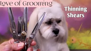 Thinning Shears Blending Shears Texturizing Shears and Chunkers [upl. by Raddatz]