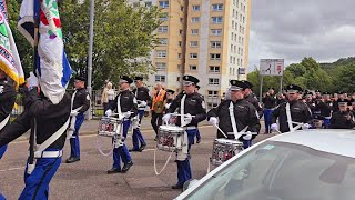 Camlachie Loyal Star Flute Band  Gourock Boyne Celebrations 29thJune 2024 [upl. by Bashuk]