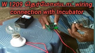 W1209 Thermostat wiring connection with Incubator [upl. by Rubel]