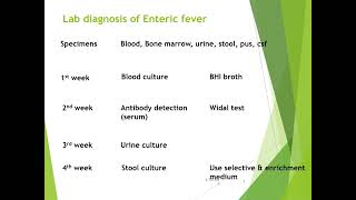 Types treatment and diagnosis of Salmonella [upl. by Aryam]