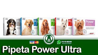 Casagrocom  Pipeta Power Ultra para perros 🐶 y gatos 🐱 [upl. by Ramak23]