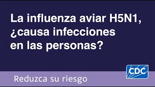 La influenza aviar H5N1 ¿causa infecciones en las personas [upl. by Adnoel]