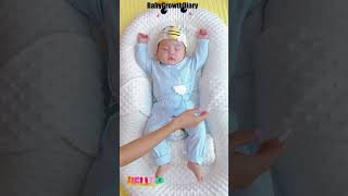 Having trouble finding a safe sleeping space for your newborn Try the Baby Lounger for Newborn [upl. by Retep]