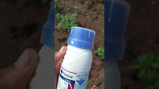 Plesiva syngenta insecticide spray [upl. by Nolahc770]