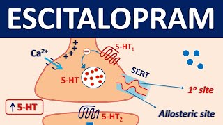 Escitalopram Lexapro  Mechanism precautions side effects amp uses [upl. by Aikram]