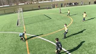 Nationale Elite U8  Sporting Lokeren  KV Woluwe Zaventem [upl. by Derwon]