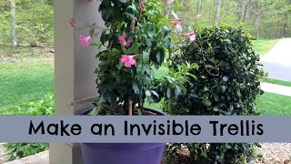 Make an Invisible Trellis for a Climbing Plant [upl. by Drofdarb]