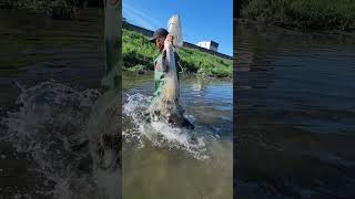 nasa malabong tubig nakatambay ang mga isda [upl. by Sokil]