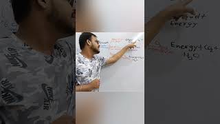 TYPES OF RESPIRATION Class 10th Mystery Revealed🔥🔥excelwithyash biology typesofrespiration [upl. by Koblick]