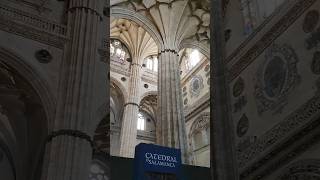 WALK in SALAMANCA❤️ with 𝕎𝕀ℕCHAN  𝑪atedral spain 4k catedral church travel salamanca [upl. by Macknair18]