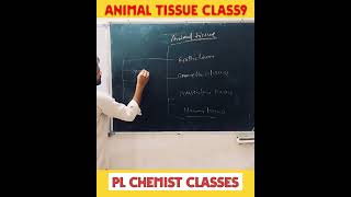 Animal Tissue Class 9  Part 3  Pl Chemist Classes  biology animalcell class9 [upl. by Joost169]