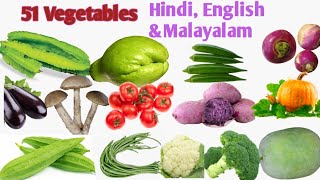 Learn 51 Vegetable Names in Hindi English amp Malayalam  Name of Vegetables in three Languages [upl. by Nirot]