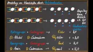 Q11 Kunststoffe durch Polykondensation [upl. by Llevel]