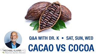 Cacao vs Cocoa  Cacao Benefits Whats The Difference Is It Healthy [upl. by Nuri]