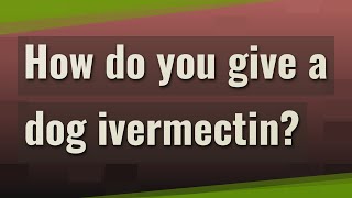 How do you give a dog ivermectin [upl. by Thorpe499]