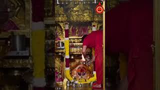 Salasar Balaji ki ki live aarti salasarbalaji youtubeshorts hindureligio shyam hinducalender [upl. by Aihsema741]