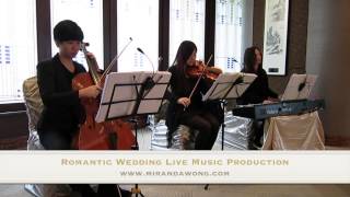 Les ChampsElysées  Hong Kong Wedding Band  The Parkview 陽明山莊會所 Violin  Piano  Cello [upl. by Sineray]