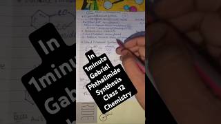 🔥Gabriel phthalimide synthesis amines class 12 chemistry class 12th chemistry GPS Method [upl. by Armat]