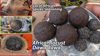 Popular AFRICAN LOCAL SPICEs DAWADAWA  How to make African locust beans SUMBALA cooking food [upl. by Eldorado]