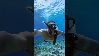 Can your snorkel do this 🤿 asmr lungtank underwater snorkeling satisfying miniscuba [upl. by Nierman]