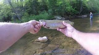 West Virginia rail stocking trout fishing [upl. by Ynabla]