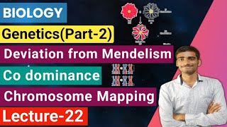 Biology Lecture22 Geneticspart2Deviation from Mendelism Codominance Chromosome mapping [upl. by Rramed]