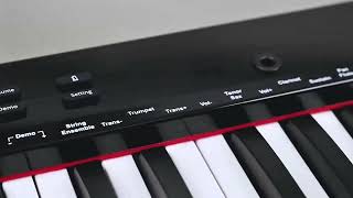 PH61S Touch Function Portable Midi Electric Piano 61 Keyboard Digital Electronic Organ Keyboard [upl. by Novah]