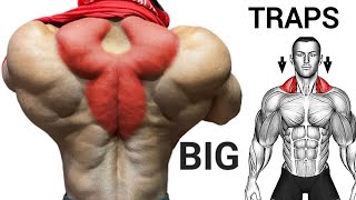 TRAPEZIUS workout  Best Exercise Traps TOP 5 [upl. by Querida867]