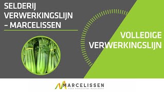 Selderij Verwerkingslijn – Marcelissen [upl. by Rednasyl]