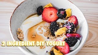 How To Make Your Own Yogurt With 2 Ingredients [upl. by Mirabella]