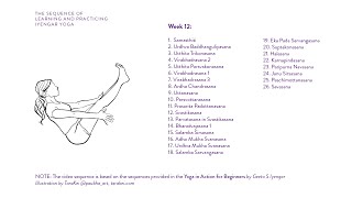 Week 12 Learning and Practicing Iyengar Yoga for Beginners [upl. by Harelda]