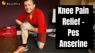 Knee Pain  4 steps how to treatment Pes Anserine [upl. by Jack]