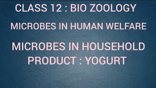 Microbes in Household product  Yogurt  Microbes in human welfare  Class 12  Tamil [upl. by Ielerol]