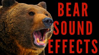 BEAR SOUND EFFECTS  Bear Roaring and Growling Sound [upl. by Suirtemid]