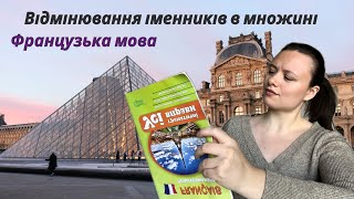 Як правильно змінювати іменники у множині французькою мовою  правила приклади і вправи [upl. by Anahsar]