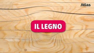 Il legno [upl. by Gabriellia]