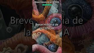 Anélidos  Breve Historia de la Ciencia «¿Qué tipo de sistema circulatorio tienen los anélidos… » [upl. by Fay]