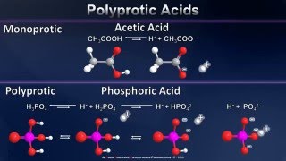 TGC polyprotic acid teaser [upl. by Rind566]