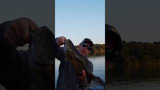 Another solid chunk of meat smallmouth fishing river [upl. by Hermine]