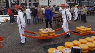 Von Käse  Windmühlen und Blumen Eine Busreise nach Holland [upl. by Zelikow900]