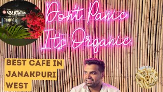 Best organic cafe in Janakpuri  Must visit place  bhai ki gadi mei krne pade kuch changes [upl. by Richardo]