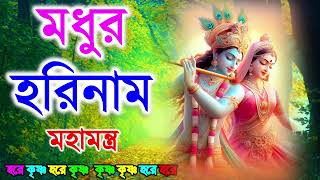 মধুর হরিনাম সংকীর্তন  Modhur Hori Naam Sankirtan  হরে কৃষ্ণ হরে রাম  Hare Krishna Hare Rama [upl. by Assenna]