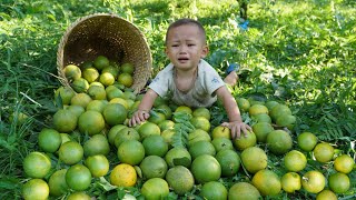 Pick oranges with your child to take to the market  garden  give the baby a bath [upl. by Ennaylil314]